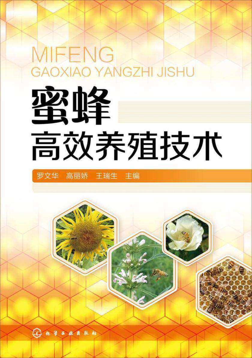 蜜蜂*养殖技术