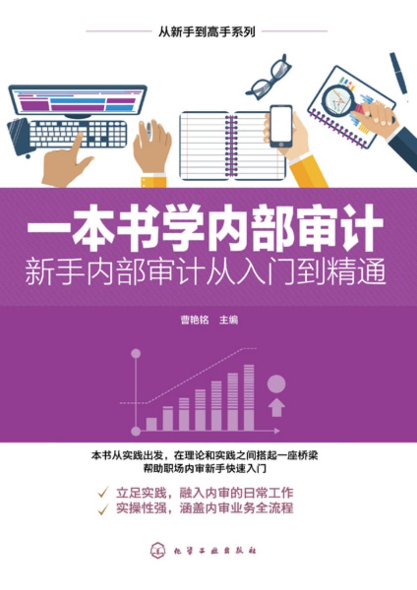 从新手到高手系列--一本书学内部审计——新手内部审计从入门到精通