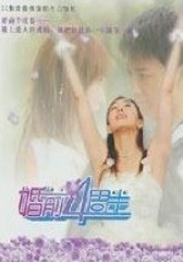 婚前四周半(影视)