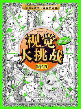 视觉大挑战：精华版.银色卷