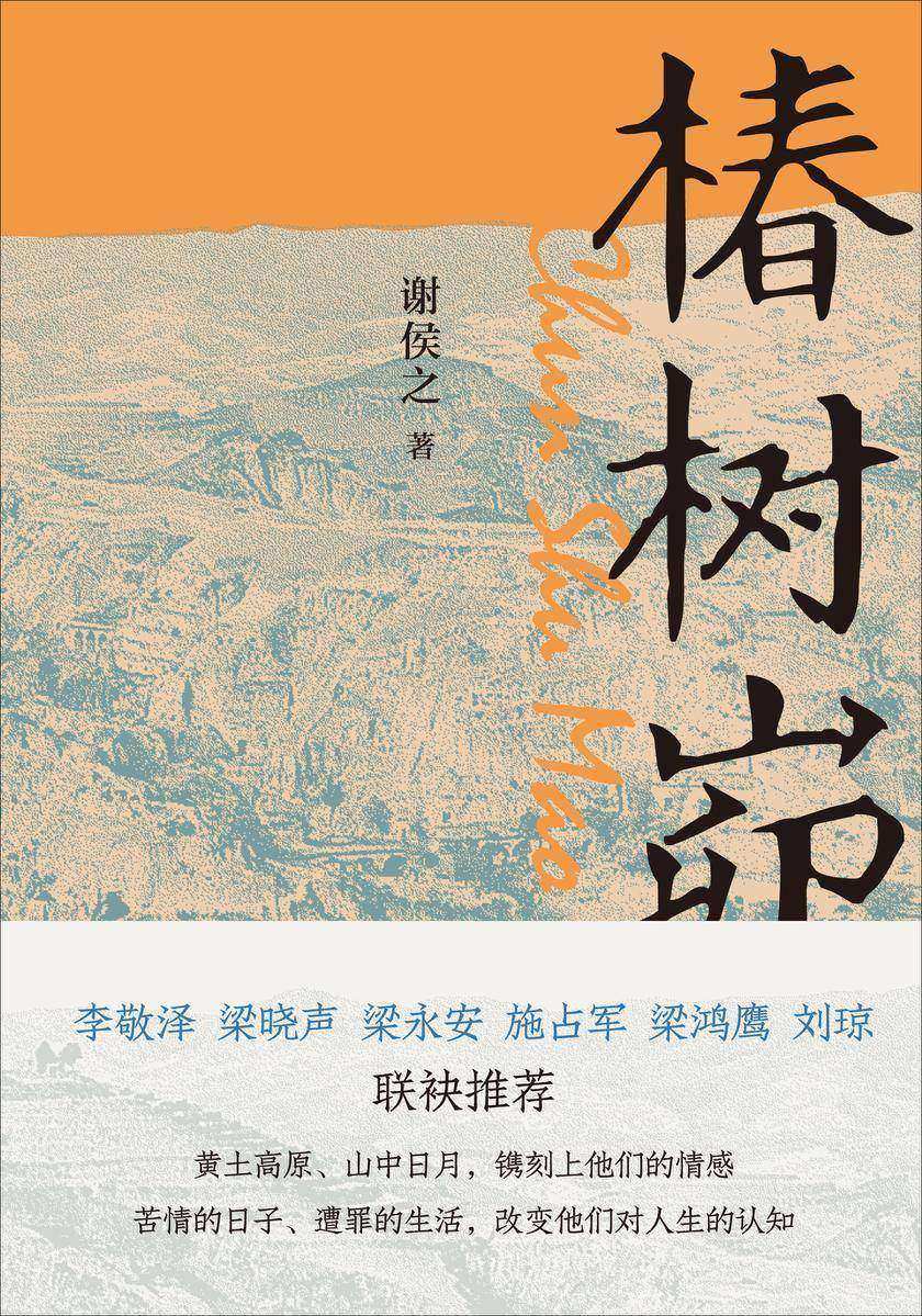 椿树峁  中华书局出品