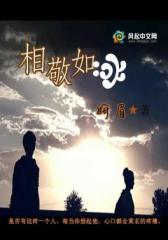 相敬如冰
