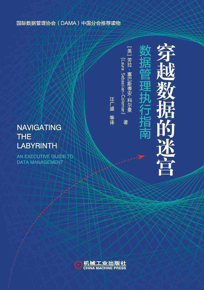 穿越数据的迷宫:数据管理执行指南