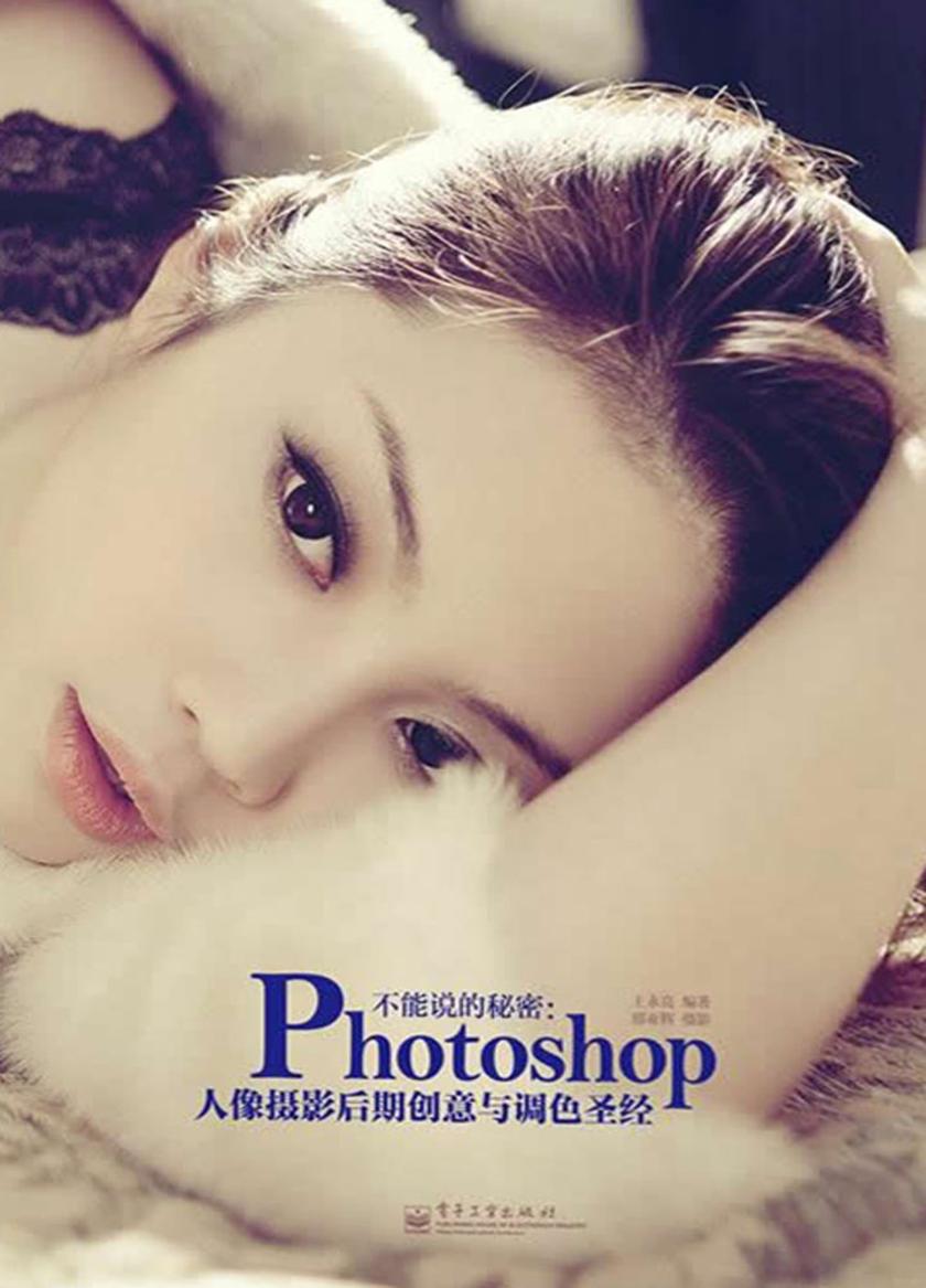 不能说的秘密:Photoshop人像摄影后期创意与调色圣经