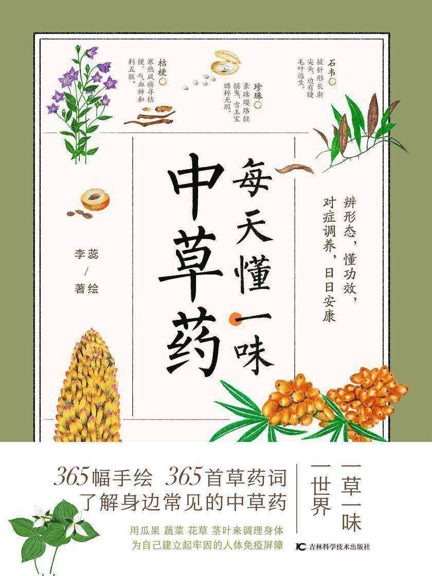 每天懂一味中草药