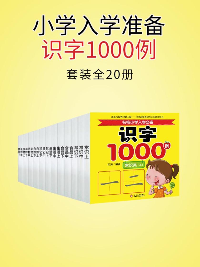 小学入学准备识字1000例(全20册)