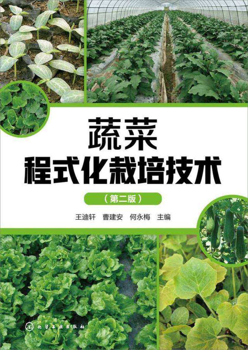 蔬菜程式化栽培技术(第二版)