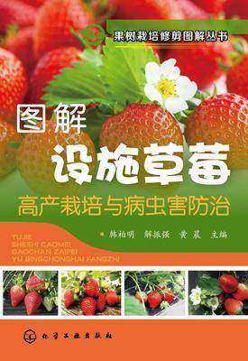 图解设施草莓高产栽培与病虫害防治