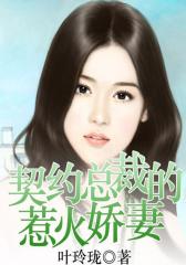 契约总裁的惹火娇妻3