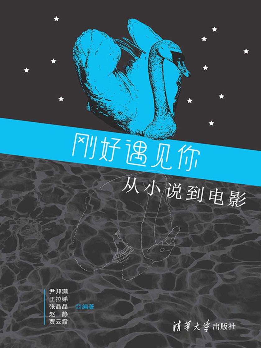 刚好遇见你:从小说到电影