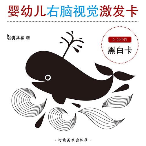 婴幼儿右脑视觉激发卡-黑白卡