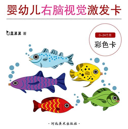 婴幼儿右脑视觉激发卡-彩色卡