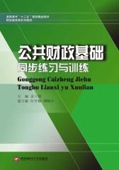公共财政基础同步练习
