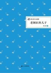 曹文轩小说馆·老铜匠的儿子