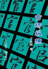 官场纵横