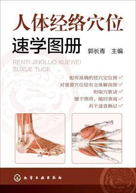 人体经络穴速学图册