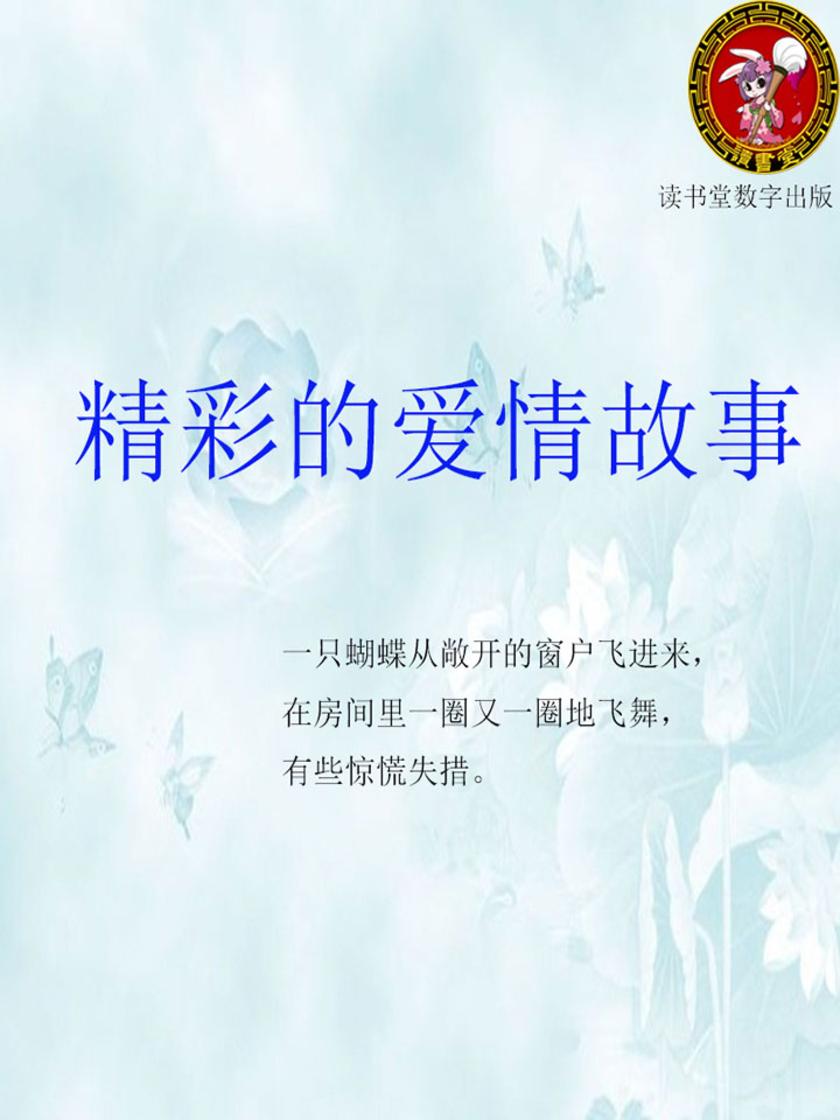 精彩的爱情故事