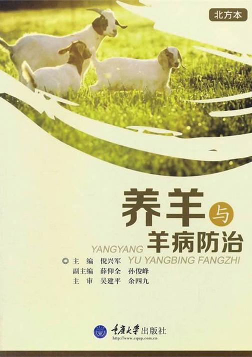 养羊与羊病防治