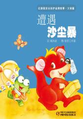 红袋鼠安全自护金牌故事 灾害篇·遭遇沙尘暴(多媒体电子书)