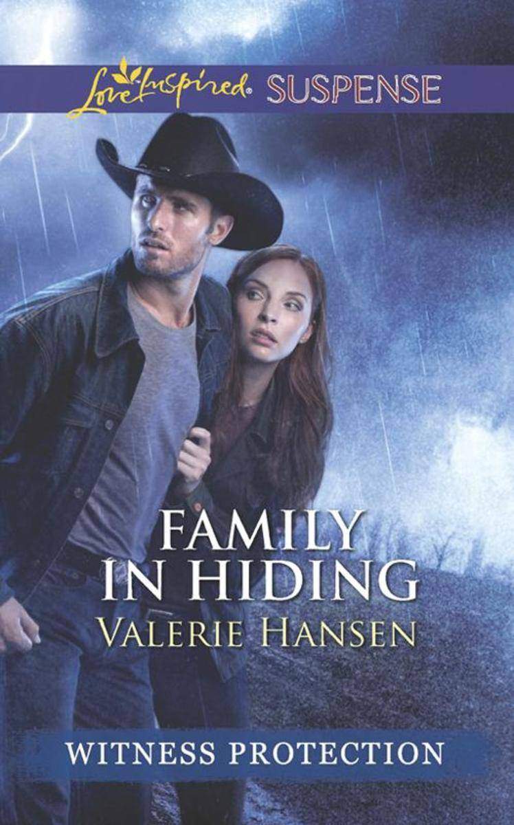Family in Hiding (Mills & Boon Love Inspired Suspense)