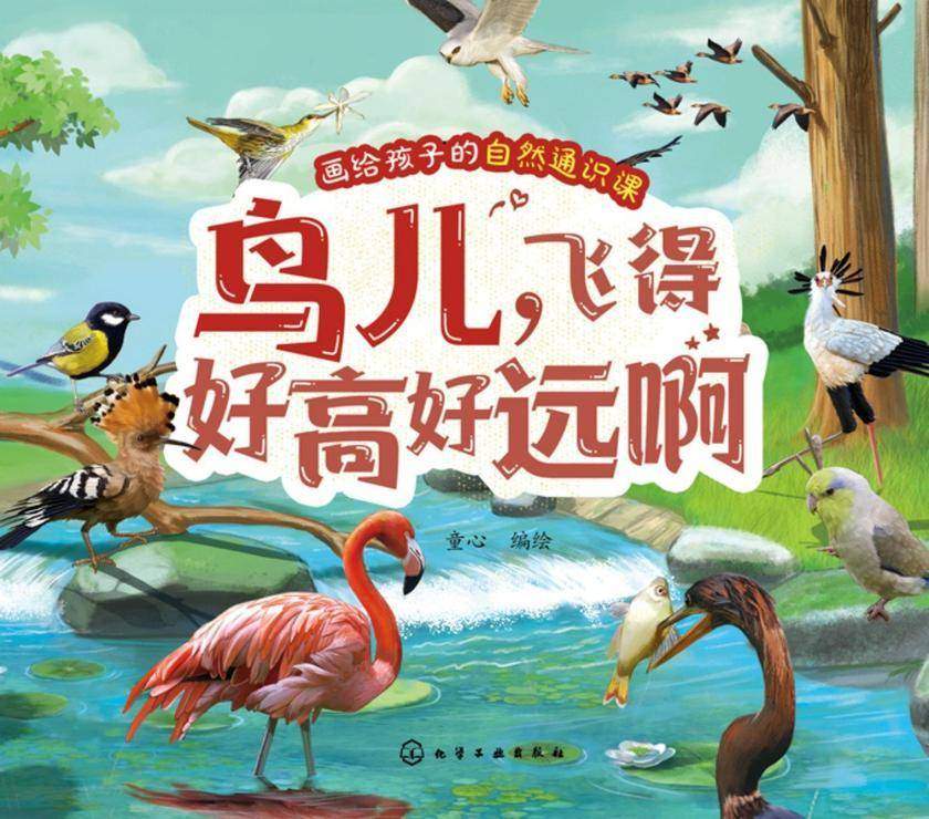 画给孩子的自然通识课--鸟儿,飞得好高好远啊