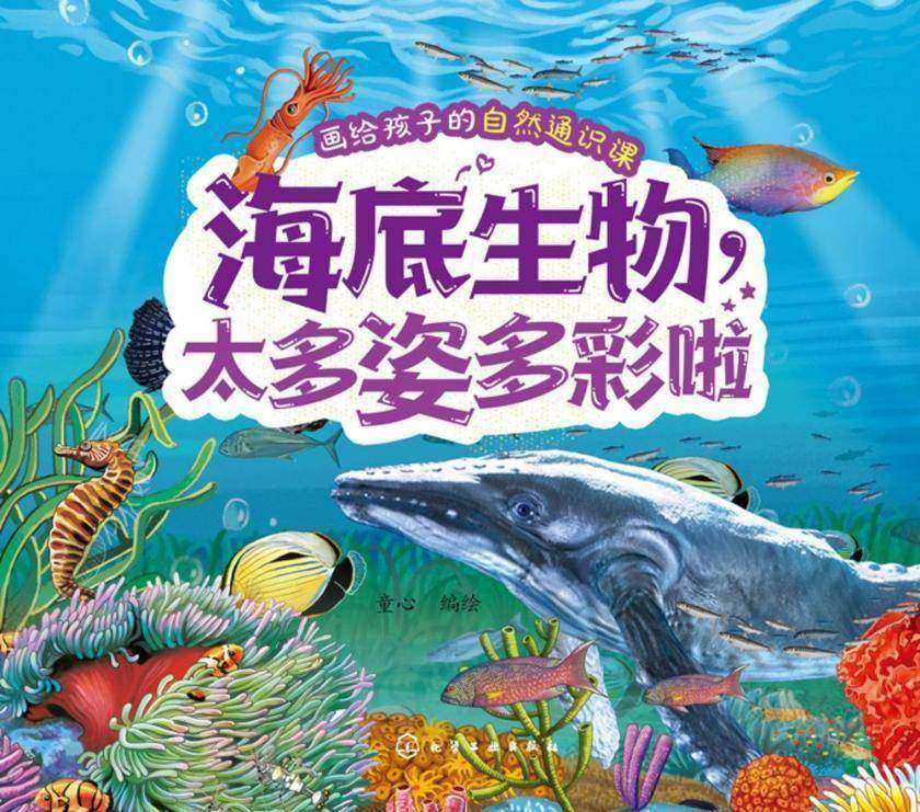 画给孩子的自然通识课--海底生物,太多姿多彩啦