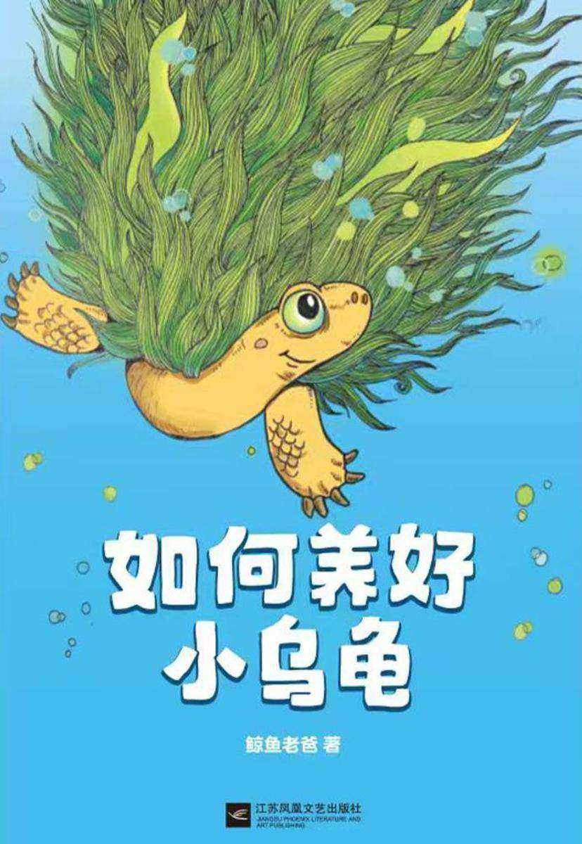 如何养好小乌龟