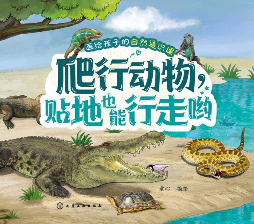 画给孩子的自然通识课--爬行动物,贴地也能行走哟