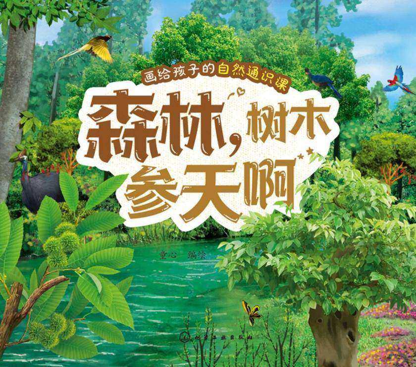 画给孩子的自然通识课--森林,树木参天啊