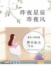 昨夜星辰昨夜风