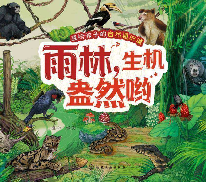 画给孩子的自然通识课--雨林,生机盎然哟