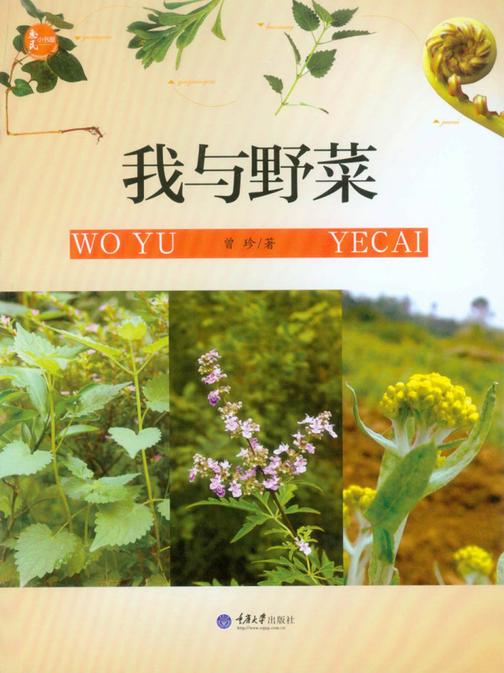 我与野菜