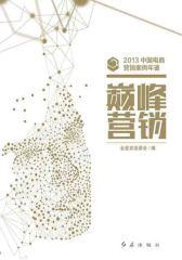 巅峰营销——2013中国电商营销案例年鉴