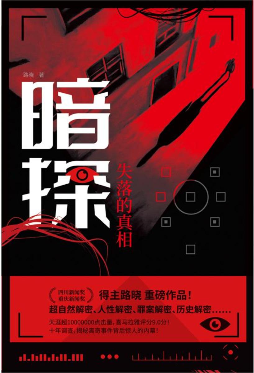 暗探:失落的真相