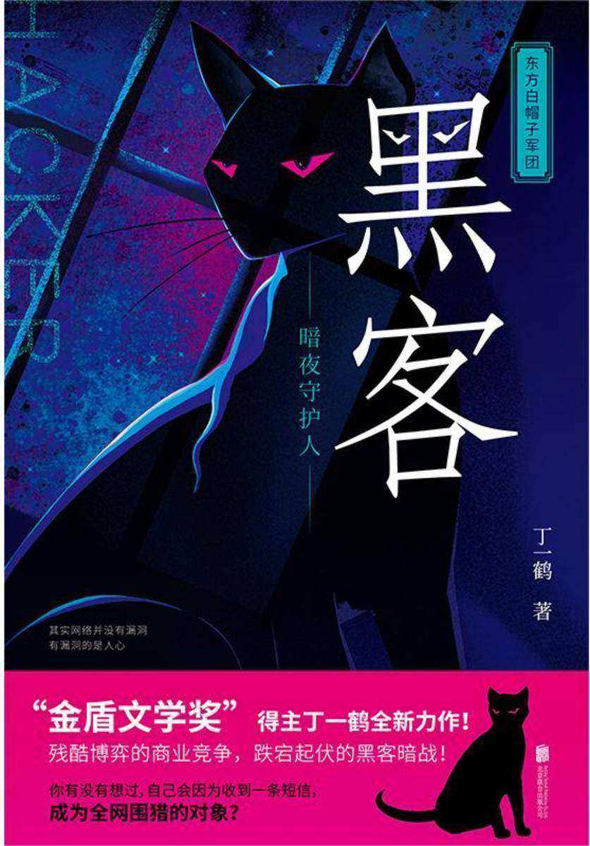 黑客:暗夜守护人