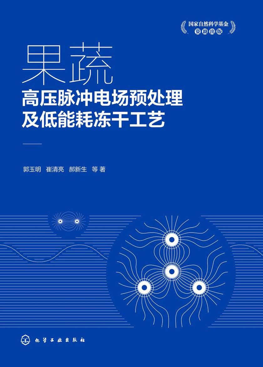 果蔬高压脉冲电场预处理及低能耗冻干工艺
