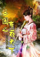 三国之布衣天下4