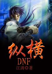 纵横DNF2