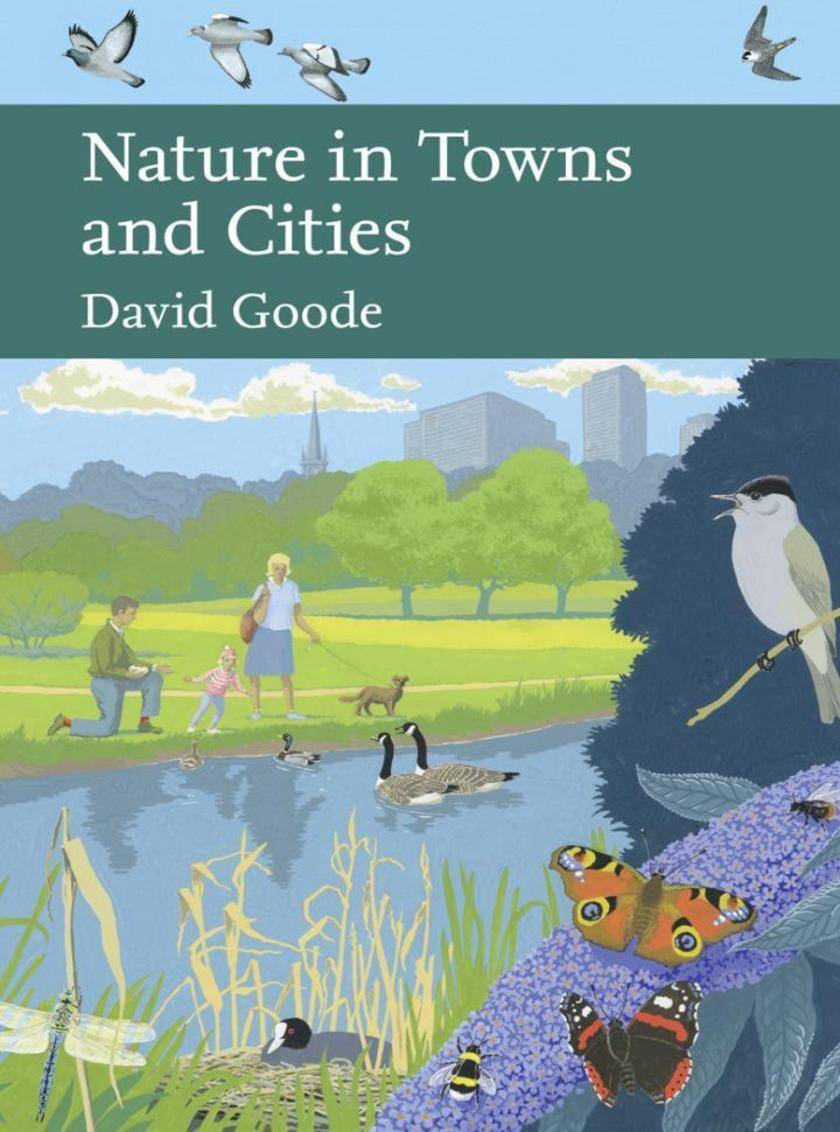 Nature in Towns and Cities (Collins New Naturalist Library, Book 127)
