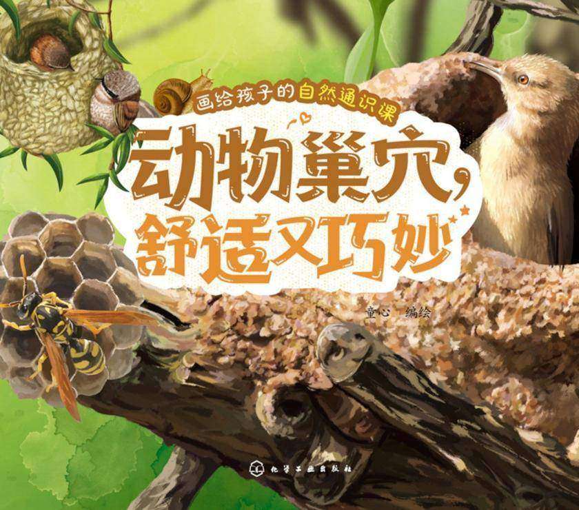 画给孩子的自然通识课--动物巢穴,舒适又巧妙