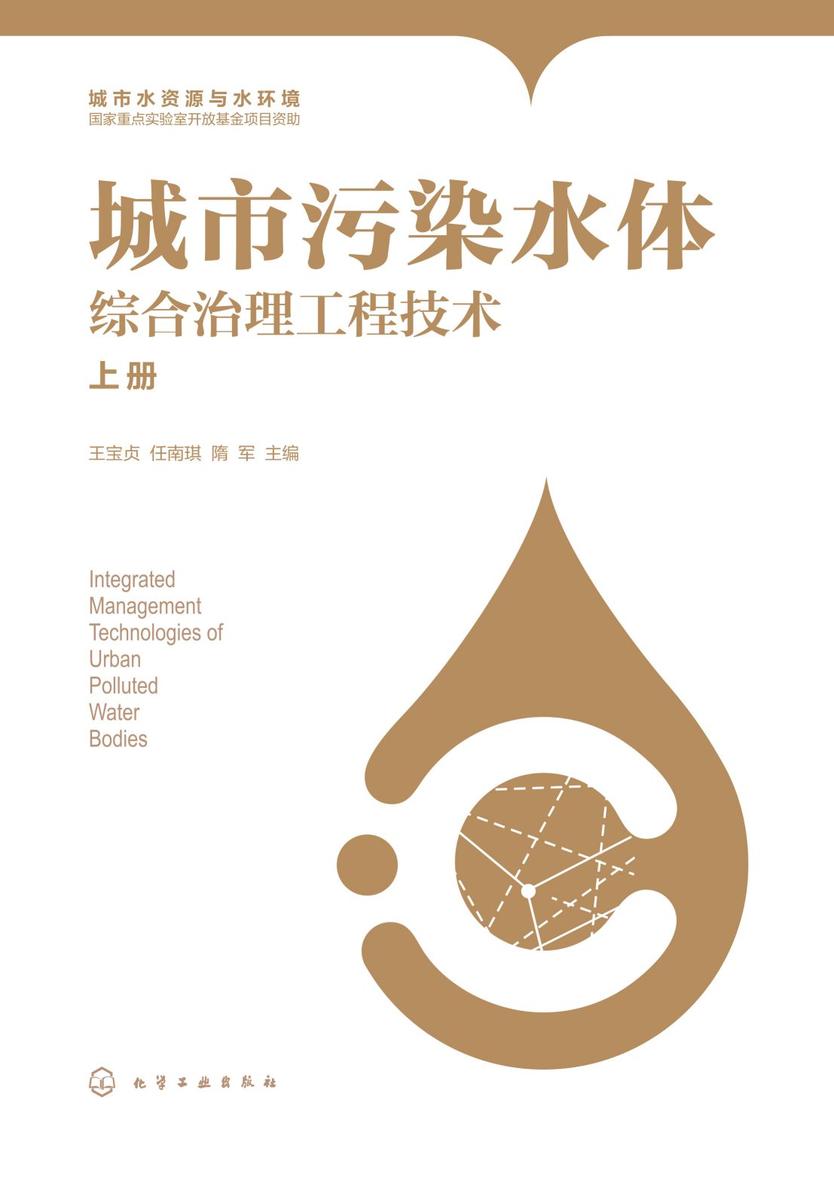城市污染水体综合治理工程技术(上、下册)
