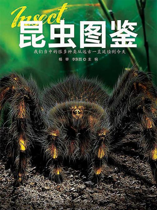 昆虫图鉴
