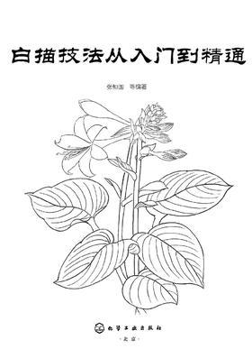 白描技法从入门到精通