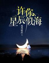 许你星辰似海