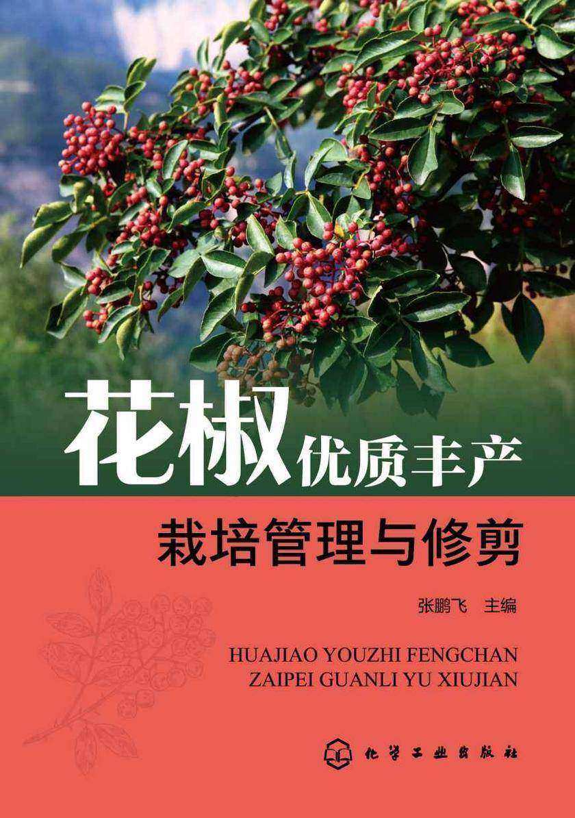 花椒优质丰产栽培管理与修剪