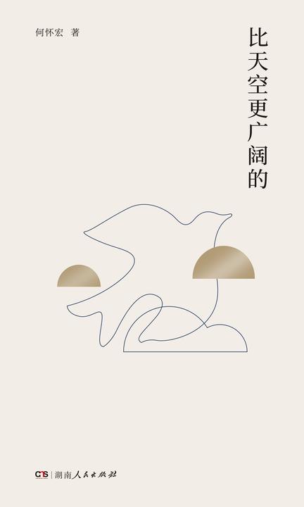 比天空更广阔的