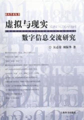 虚拟与现实：数字信息交流研究