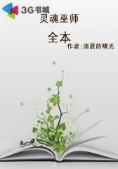 灵魂巫师--全本