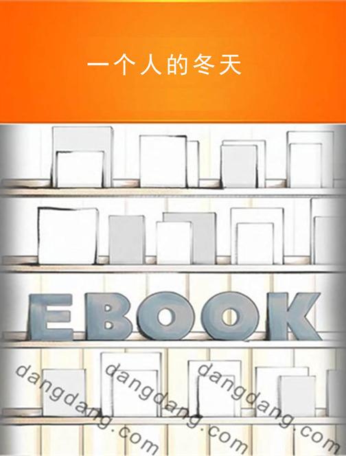 一个人的冬天