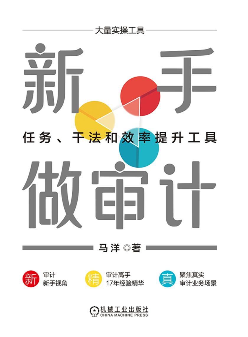 新手做审计:任务、干法和效率提升工具